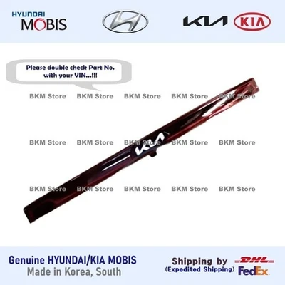 Genuine 92409R0320 Center Garnish Lamp Assy for Kia Carnival SX Prestige 22-24 - Image 1 of 4