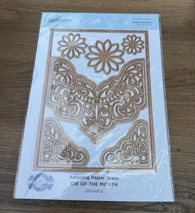 Spellbinders Amazing Paper Grace DIE OF THE MONTH JANUARY 10-Die Template - Picture 1 of 2