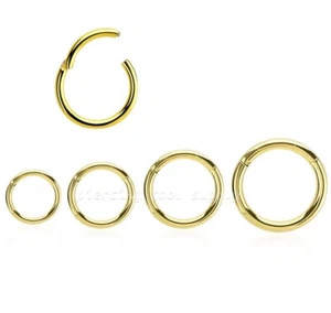 20G 18G 16G 14G Gold PVD Steel Hinged Segment Ring Earring Nose Septum Cliker - Picture 1 of 3