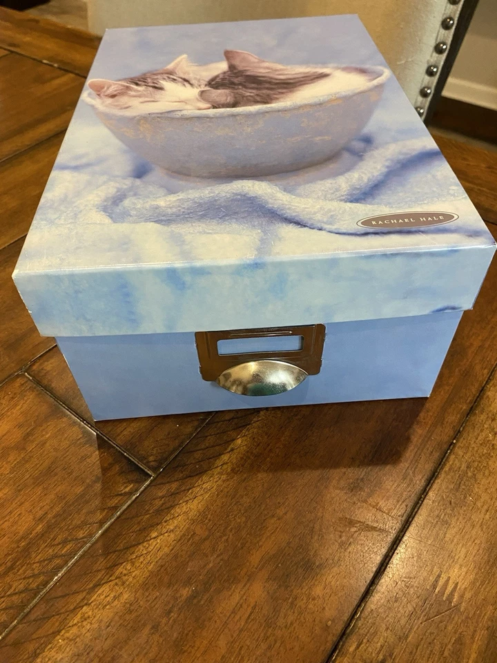 Caja de almacenamiento de recuerdo de cartón foto vintage de Rachael Hale azul gatitos gatos Foto 1 de 4