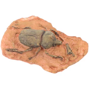 Paläontologisches Fossil Exemplar Insekt Fossil Ornament Insekt Fossil Exemplar - Afbeelding 1 van 12