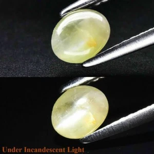 ★★ RARE !! CHRYSOBERYL OEIL DE CHAT DU SRI LANKA : 5.5 mm x 4. mm ★★ P243.129t - Photo 1/3