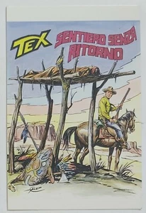 06400 1106 Cartolina - Copertine Tex Willer- 3/2 - ed. Lo Vecchio - Bonelli - Picture 1 of 2