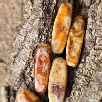 5 cuentas de vidrio Picasso austriaco vintage | tonos topacio ámbar jaspeado - forma de tubo Foto 1 de 3