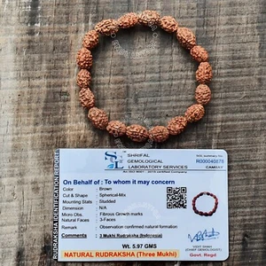Authentisches 3 Mukhi Rudraksha Armband | Spirituelle Heilung | Energetisierende Perlen - Bild 1 von 11