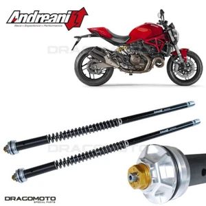 DUCATI Monster 821 2014-2020 cartridge ANDREANI 105/D13E MISANO EVO - Picture 1 of 5