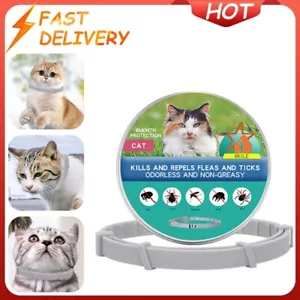 Natural Ingredients Flea and Tick Prevention & Treatment Collar for Cats,38CM - Picture 1 of 8