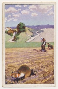 HAMSTERGRABEN HAMSTER JAGD FANG IMAGE CARD 1930's - Picture 1 of 2