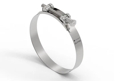 Collier de serrage TEGER 29-31W2 en acier inoxydable largeur 20 mm 10 pièces - Photo 1/3