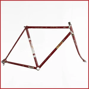 ROSSIGNOLI STEEL FRAMESET FRAME 60s CAMPAGNOLO VINTAGE LUGS COLUMBUS EROICA OLD - Picture 1 of 23