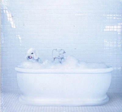 Frankie Cosmos Vessel CD Europa Sub Pop 2018 In Gatefold Card Sleeve Brandneu - Bild 1 von 2