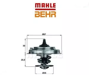 TX3080D Termostato, Refrigerante (BEHR) - Imagen 1 de 1
