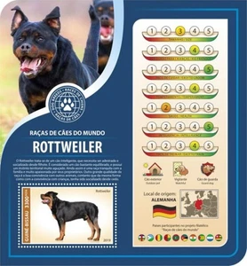 Guinea-Bissau - Raza de perro Rottweiler 2019 - Hoja de recuerdo de estampillas - GB190603b - Imagen 1 de 1