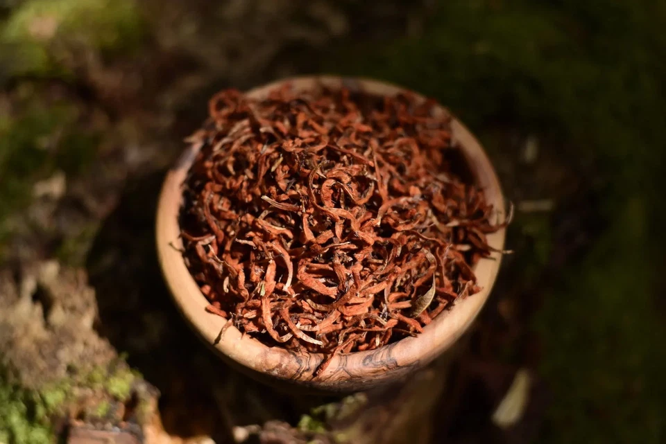 Wild Dagga | Wild Harvest Pure Petals, Resin + Extract x100 Leonotis Nepetifolia - Image 1 of 1