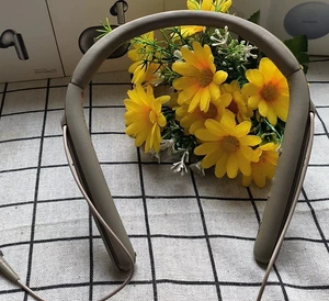 Sony Sony WI-1000X Wireless Bluetooth Headset - Bild 1 von 3