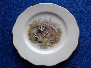 Badgers Bone China Plate - Picture 1 of 2