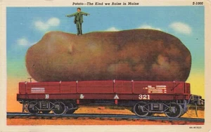 Postcard Potato The Kind We Raise in Maine Man on Train Car & Potato ME - Picture 1 of 2