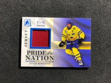 2014 ITG DRAFT PROSPECTS JULIUS BERGMAN PRE-ROOKIE PRIDE NATION JERSEY #ed 1/70