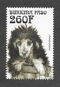 Arte de perro cabeza estudio retrato sello postal cachorro PERRO AFGANO Burkina Faso MNH - Imagen 1 de 1