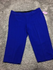 Investments Capri Pants Pull On Woman Size 24W Blue Stretchy - Picture 1 of 14