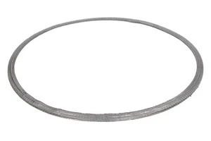 Se adapta a DINEX DIN2AL044 Sistema de escape Junta/Sello Sistema de escape Junta ⭐ Stock Reino Unido⭐ - Imagen 1 de 7