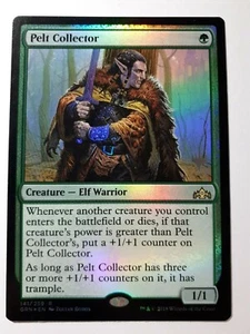 Pelt Collector FOIL Promo Pack - Guilds of Ravnica (Magic/mtg) Rare - Bild 1 von 2