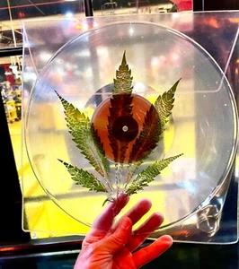 SLEEP Leaves Beneath 12” Clear LP Vinyl WEED Marijuana Leaf Variant THIRD MAN - Picture 1 of 2