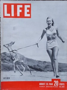 Revista Life 23 de agosto de 1948 solo portada. Ciervo mascota - Imagen 1 de 1