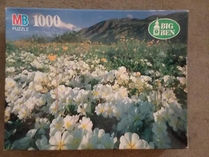 Anza Borrego Desert State Park 1000 piece jigsaw puzzle Big Ben MB Puzzle 4962-2 - Picture 1 of 2