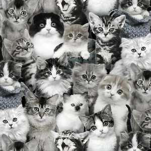 Cat Breeds Packed Cats Gray 100% Cotton Fabric by The Yard - Picture 1 of 1