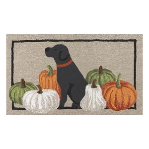 Tappeto con accento agganciato a mano Harvest, 22” x 38” - Foto 1 di 12