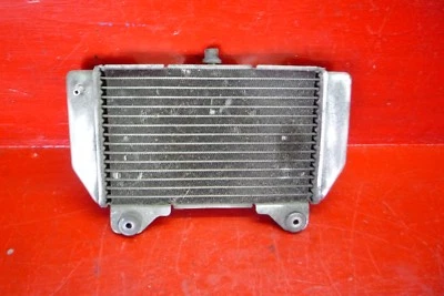RADIATORE ACQUA Honda Forza 250 iniezione 2004 2005 2006 2007 - - Immagine 1 di 4
