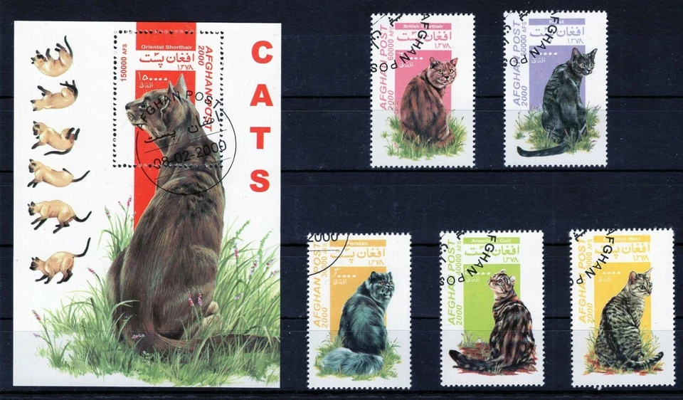 AFGHANISTAN 2000 CATS GATOS CHATS KATZE DOMESTICATED ANIMALS FAUNA STAMPS CTO - Image 1 of 1