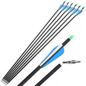 30" Archery Carbon Arrows SP500 Points Vanes Recurve Compound Bow Hunting Target - Picture 1 of 17