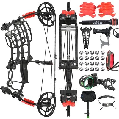 Dual-use Compound Bow Arrow Steel Ball 30-60lbs Short Axis Hunting Target RHLH - Image 1 of 4