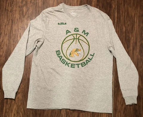 LeBron James Nike FAMU Florida A&M Rattlers Shirt XL Basketball Tee King James Cover