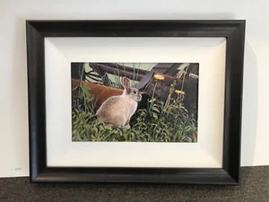 Alan WYLIE - ORIGINAL PAINTING - " Rabbit Refuge " Framed acrylic on Board - Picture 1 of 9