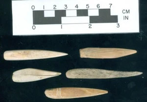 5-High Plains/Dakota ca. 2" Hirschknochen Ahlen, einige gelbe Patina - Winston Hall - Bild 1 von 2