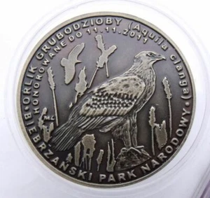 POLAND 10 MIEDZIAKOW 2009 GRAETER SPOTTED EAGLE BIRD OXIDIZ 32mm COIN IN CAPSULE - Picture 1 of 2