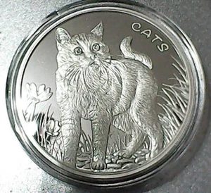 Cats Fiji Silbermünze 2021 - 1 Oz -  999/1000 - Bild 1 von 2