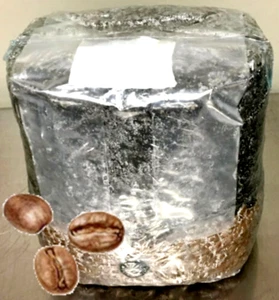 All in One Mushroom Grow Bag - Picture 1 of 1