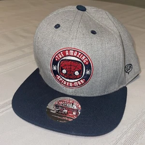 Funko The Amazing Spider-Man Snapback Mütze Marvel Collector Corps Exclusive NEU - Bild 1 von 8