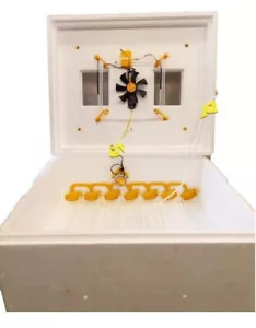 Incubadora automática Teplusha para 63 huevos elemento calefactor termorregulador digital - Imagen 1 de 4