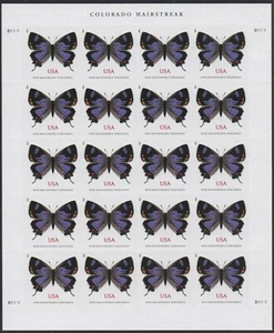 Colorado Hairstreak Butterfly Sheet of Twenty Non-machinable Rate Stamps #5568 - Picture 1 of 2