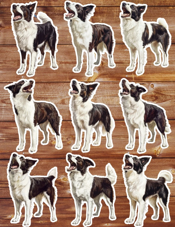 Barking Border Collie Vinyl Die Cut Stickers Set Scrapbooking Laptop Waterbottle - Image 1 of 1