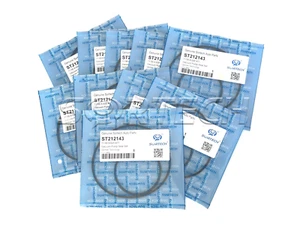 10PCS Vacuum Pump Seal Kit for BMW 11668626471 E46 E90 E60 E81 E82 E84 - Picture 1 of 4