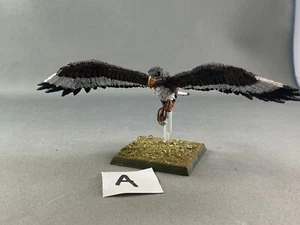 Riesenadler Kriegsfalke Monster Vogel Waldelfe Elfen Aelfen Warhammer METALL BEMALT - Bild 1 von 4