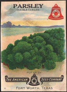 *Vintage* PARSLEY Veg Seed Packet Front Only AMERICAN SEED 1930's TEXAS *RARE* - Picture 1 of 1