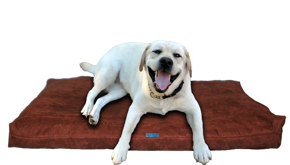 Shredded Memory Foam Orthopedic Dog bed for Large Breed Dogs,40"x35",Brown  - Image 1 of 4