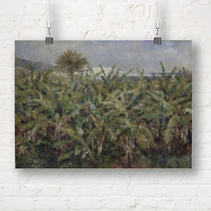 Pierre Auguste Renoir: Field of Banana Trees. Fine Art Print/Poster - Picture 1 of 1
